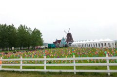 硒鼓科技控股组织开展“绿色健康行”春季户外拓展